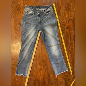 Judy Blue Crossover Dad Jeans Size 14W
